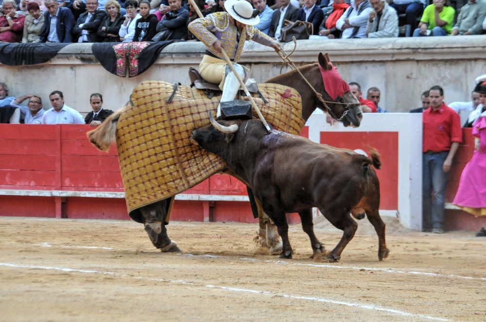 2016cordimamvendnimes (139)