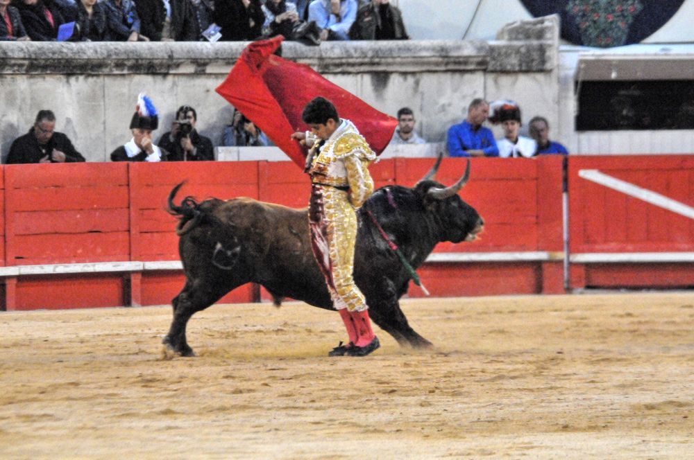 2016cordimamvendnimes (16)