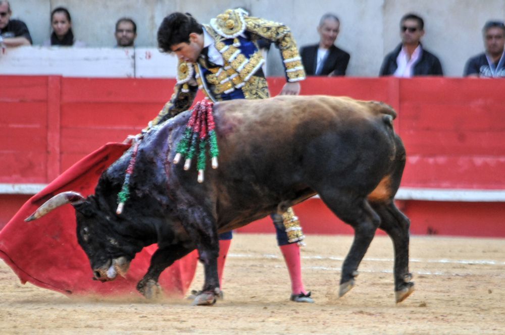 2016cordimamvendnimes (163)