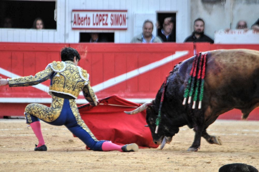 2016cordimamvendnimes (168)