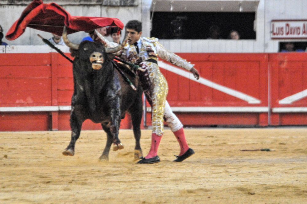 2016cordimamvendnimes (18)