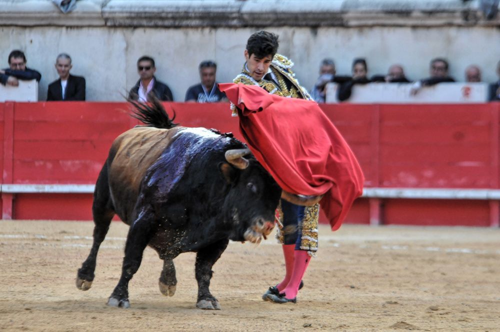 2016cordimamvendnimes (180)