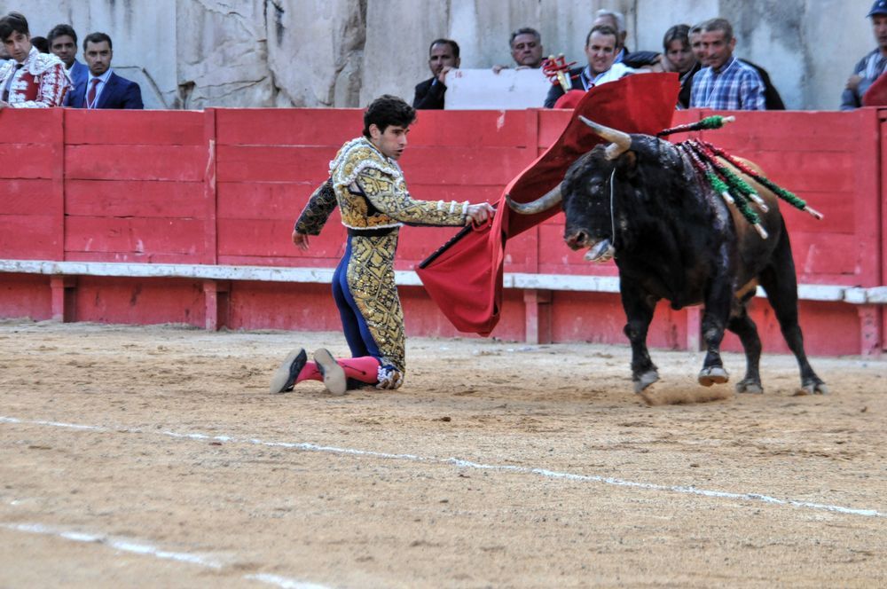 2016cordimamvendnimes (188)