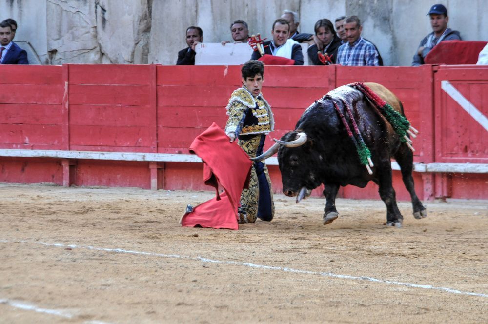 2016cordimamvendnimes (192)