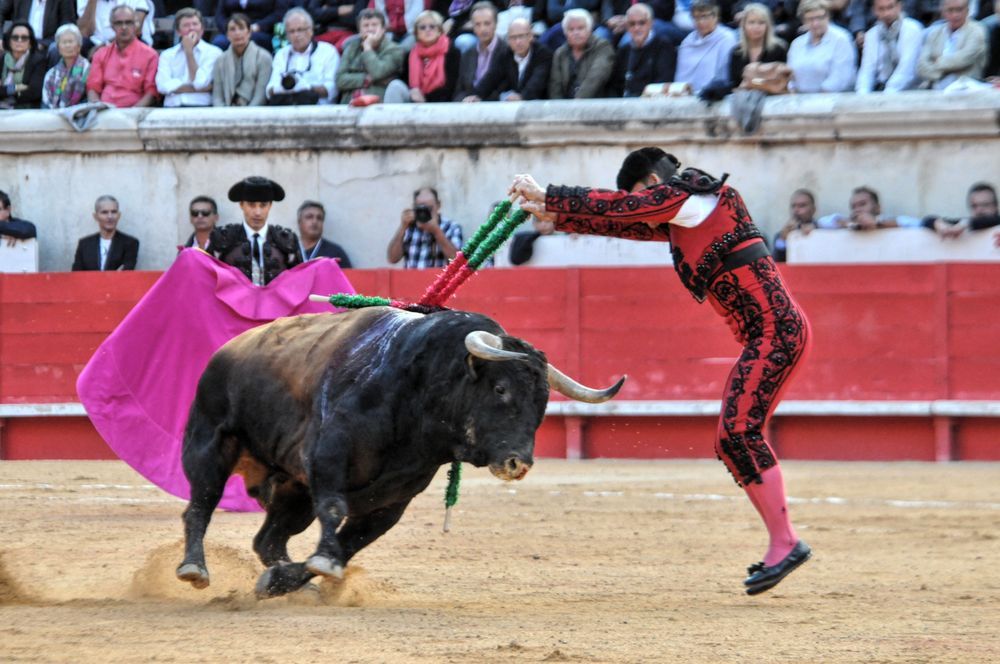 2016cordimamvendnimes (199)