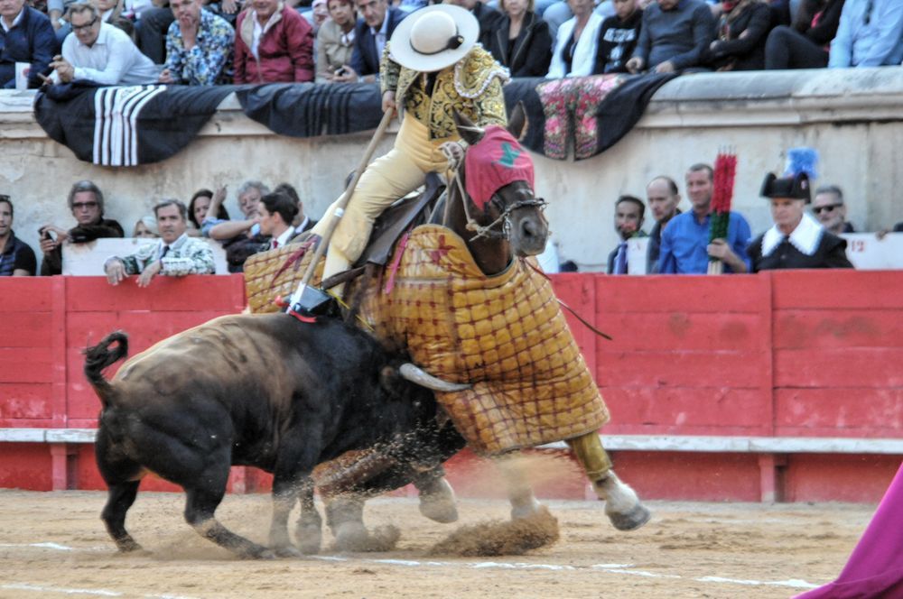 2016cordimamvendnimes (200)