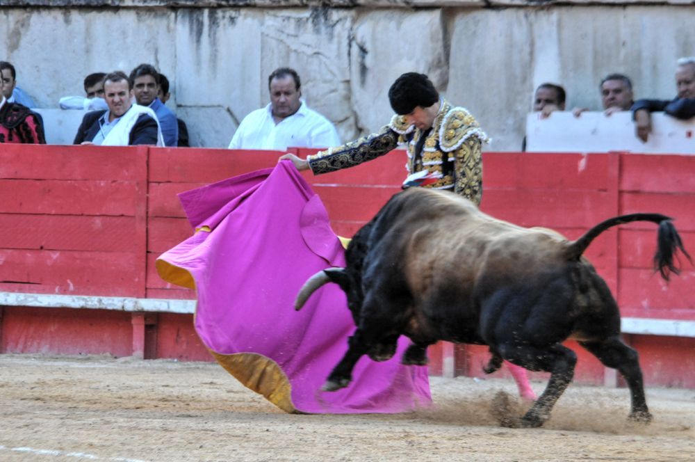 2016cordimamvendnimes (202)