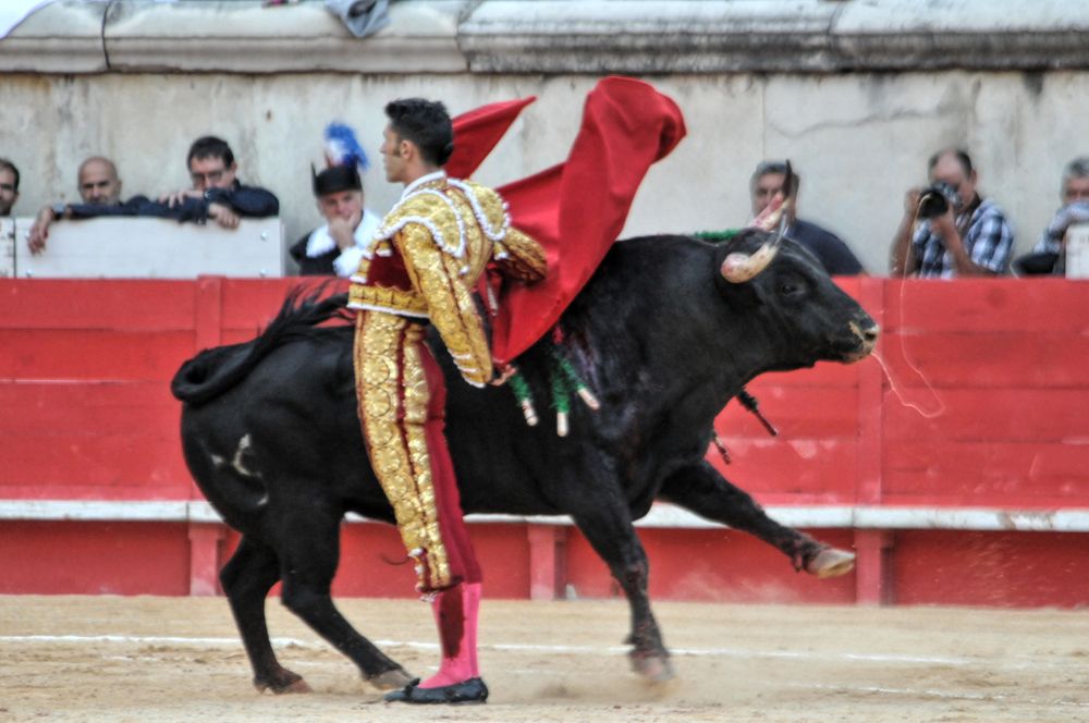 2016cordimamvendnimes (208)