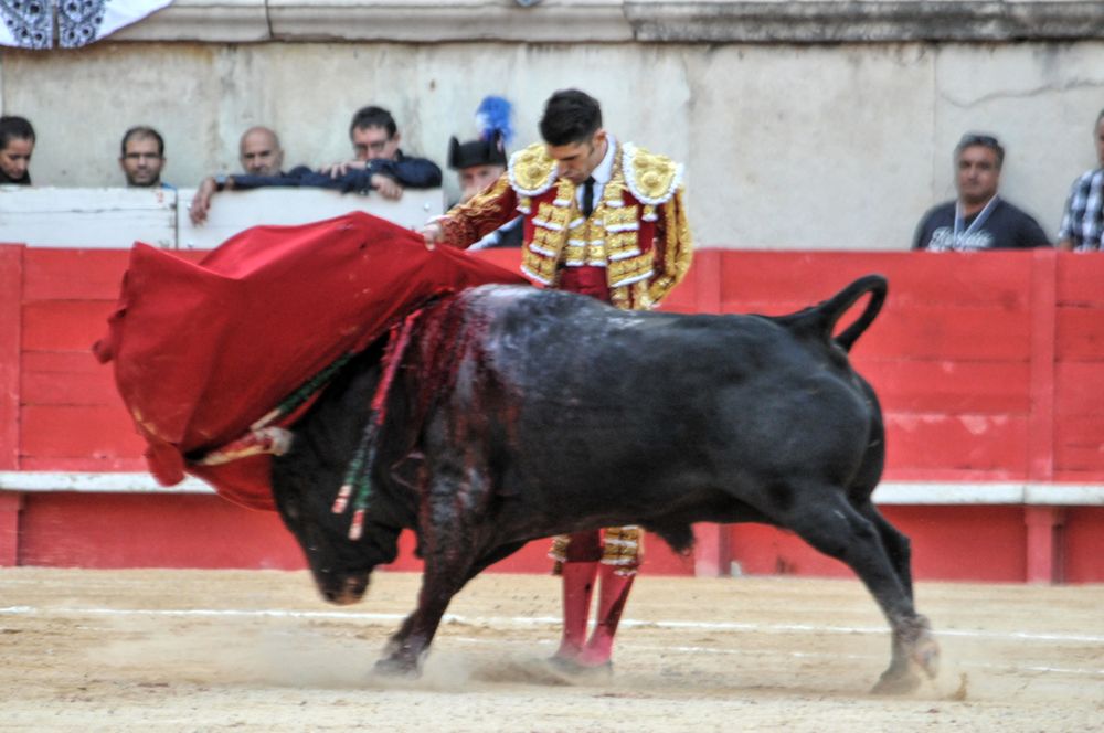 2016cordimamvendnimes (209)