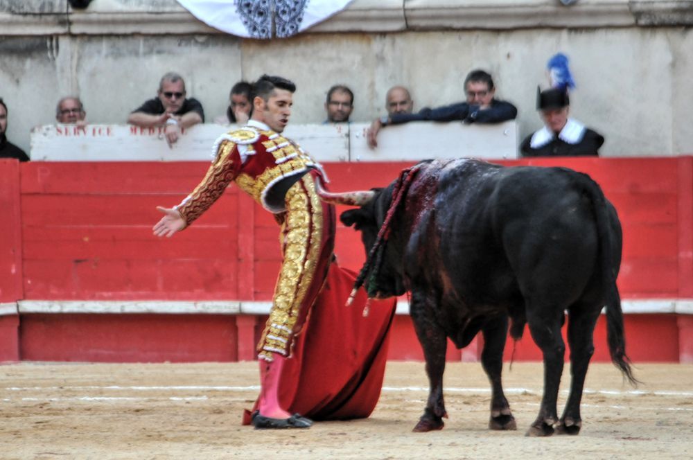 2016cordimamvendnimes (211)