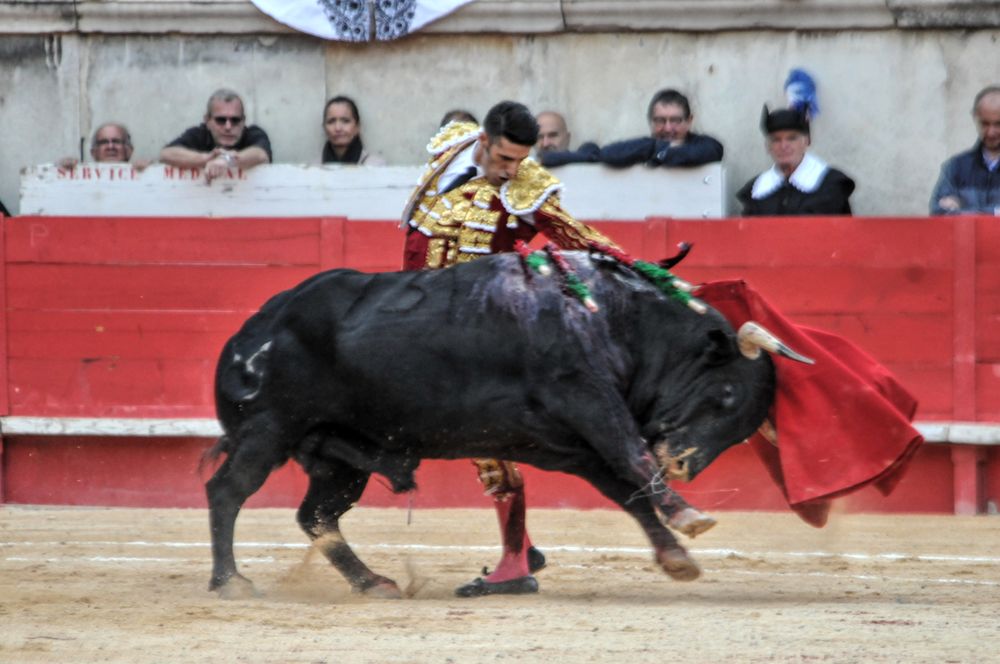 2016cordimamvendnimes (213)