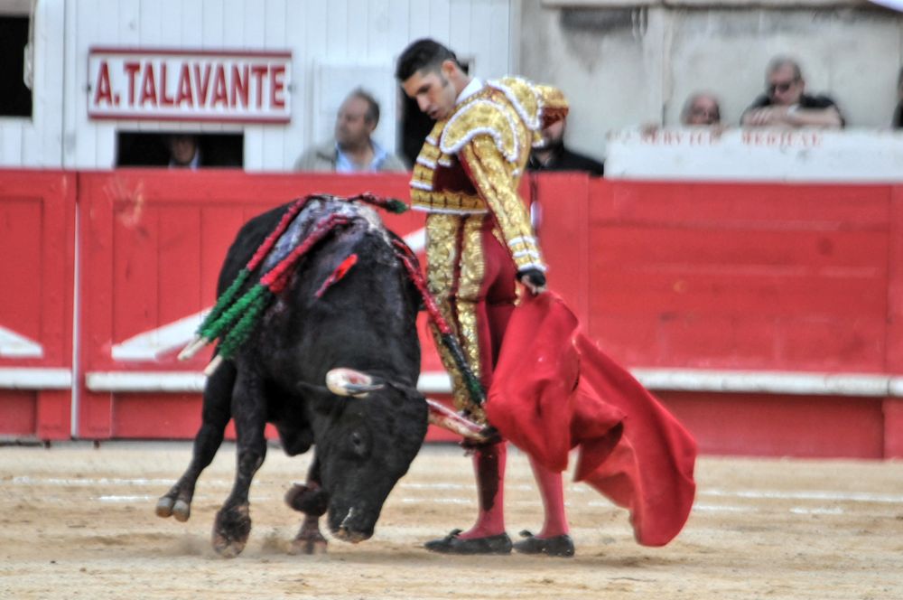 2016cordimamvendnimes (214)
