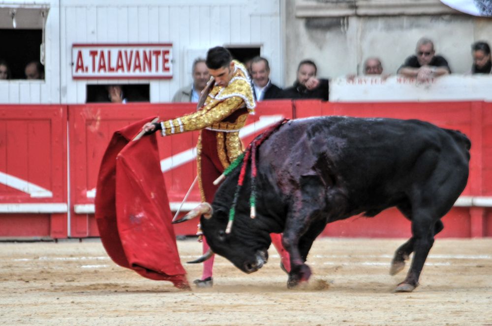 2016cordimamvendnimes (215)