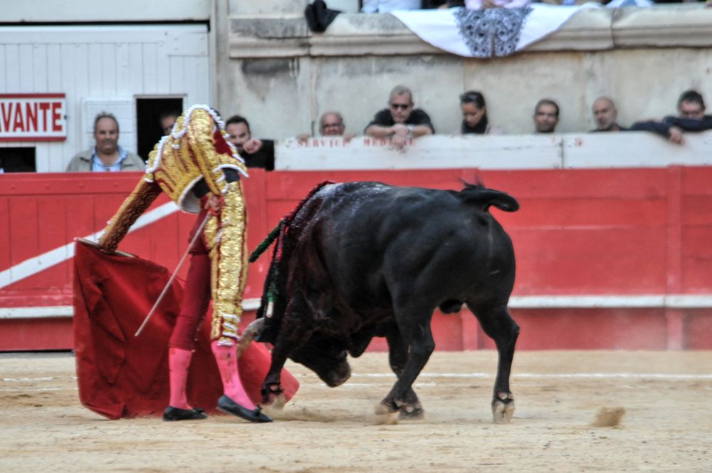 2016cordimamvendnimes (216)