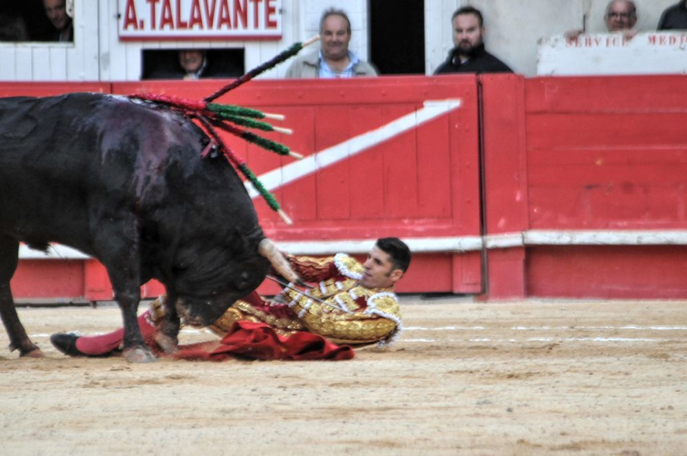 2016cordimamvendnimes (219)