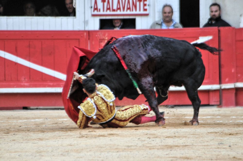 2016cordimamvendnimes (223)