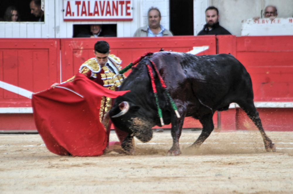 2016cordimamvendnimes (226)