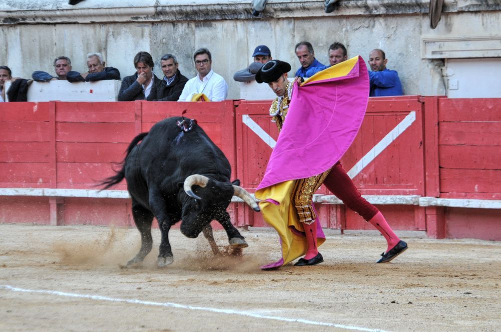 2016cordimamvendnimes (240)