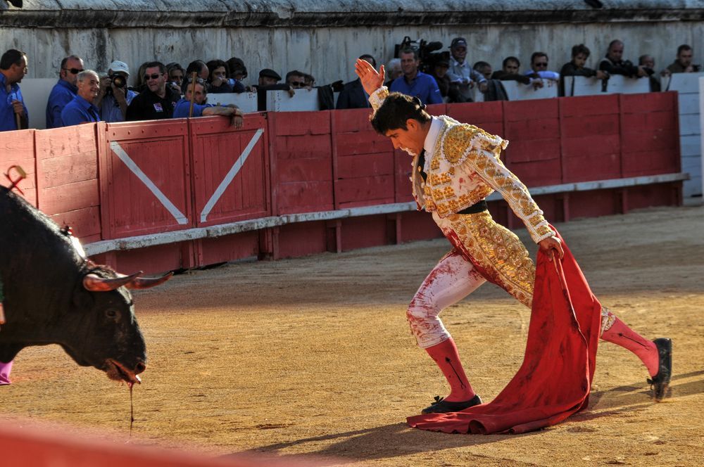 2016cordimamvendnimes (251)