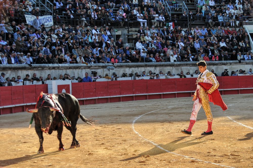 2016cordimamvendnimes (252)