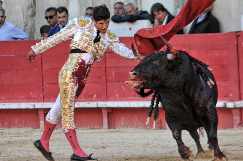 2016cordimamvendnimes (256)