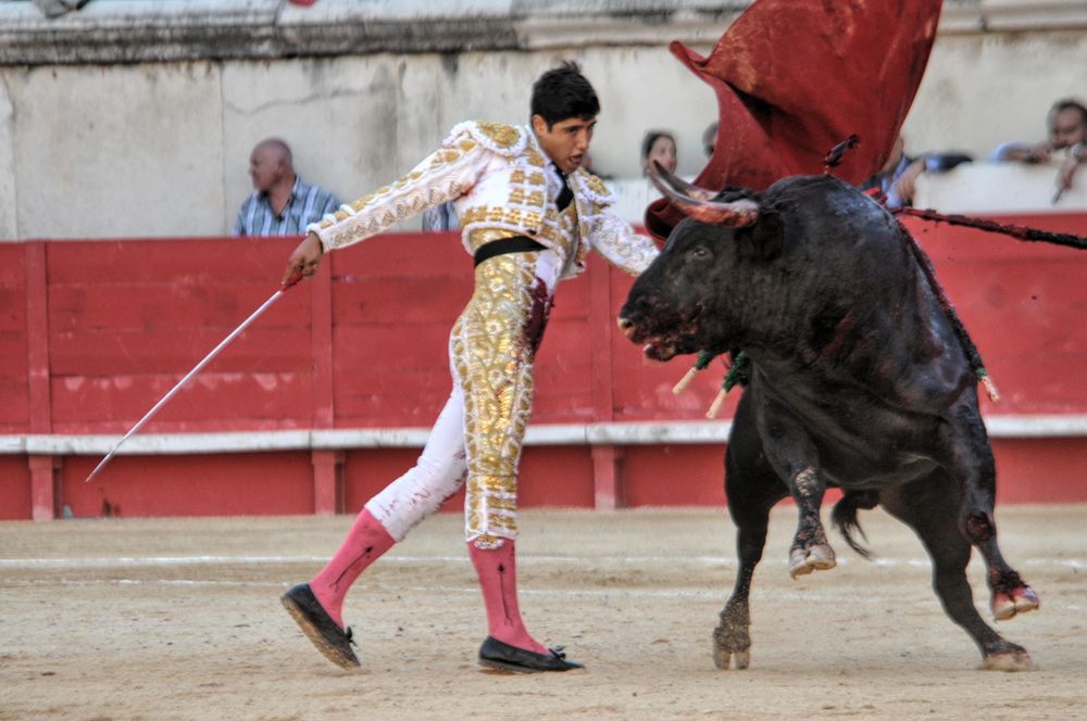 2016cordimamvendnimes (264)