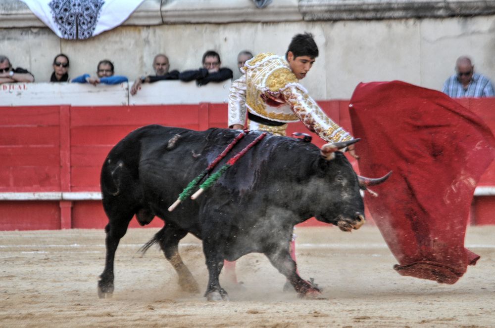2016cordimamvendnimes (268)