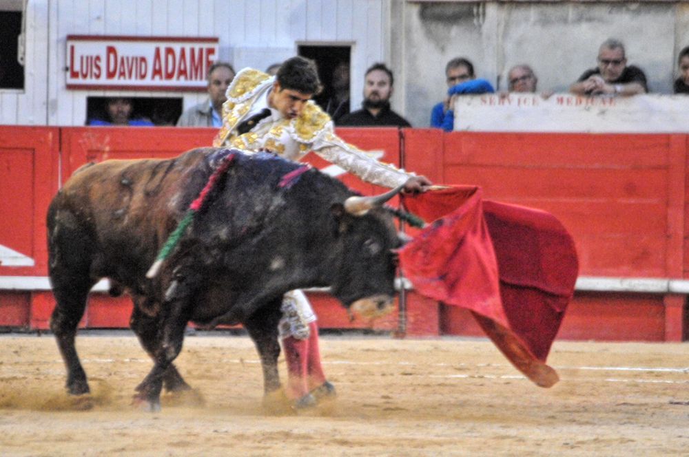 2016cordimamvendnimes (28)