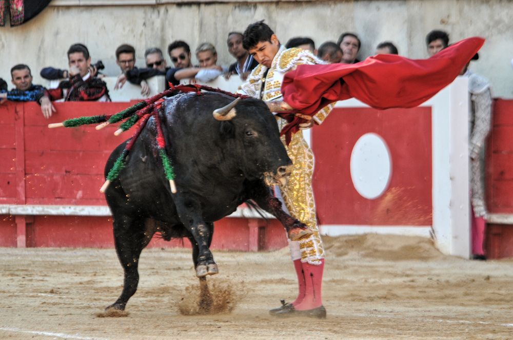 2016cordimamvendnimes (282)