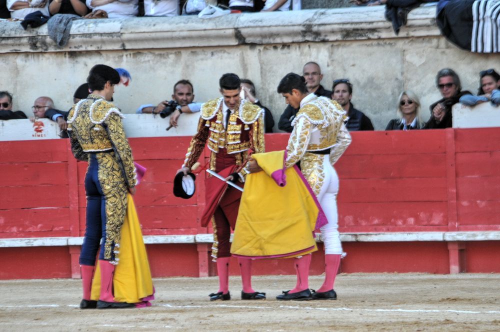 2016cordimamvendnimes (292)