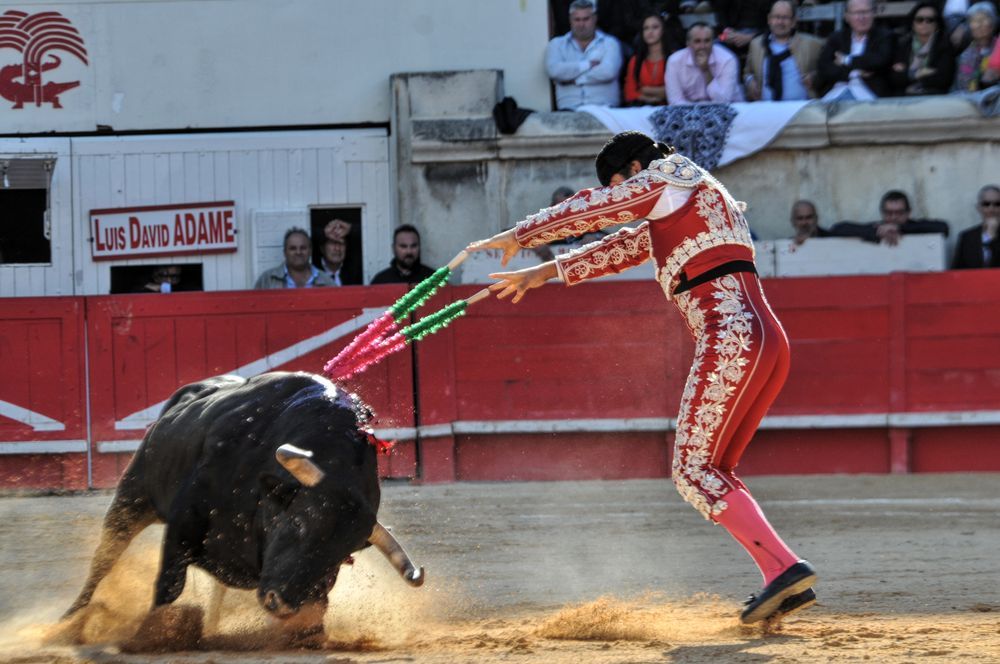 2016cordimamvendnimes (294)