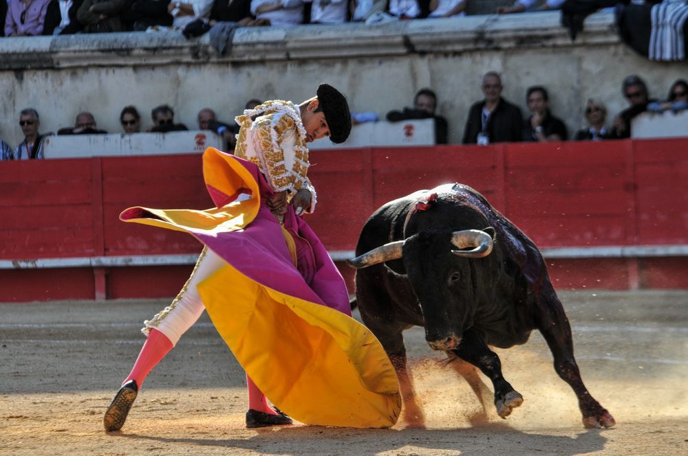 2016cordimamvendnimes (295)