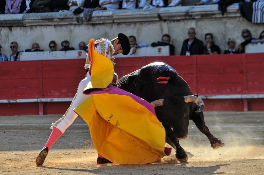 2016cordimamvendnimes (296)
