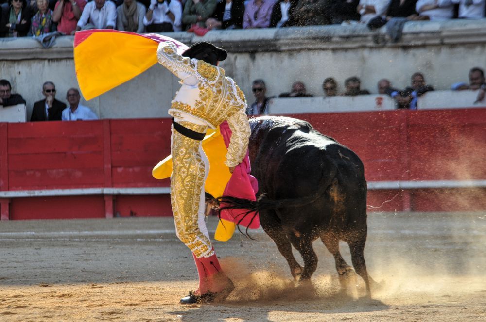 2016cordimamvendnimes (297)