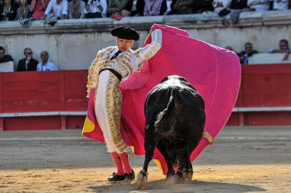 2016cordimamvendnimes (299)