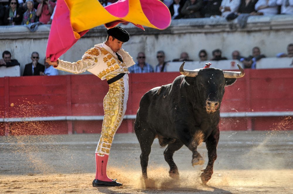 2016cordimamvendnimes (302)