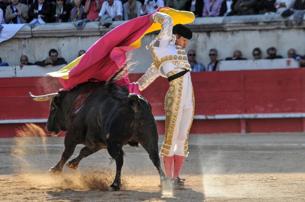 2016cordimamvendnimes (303)