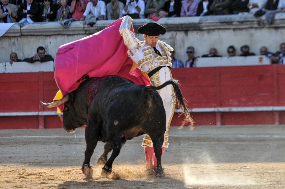 2016cordimamvendnimes (304)