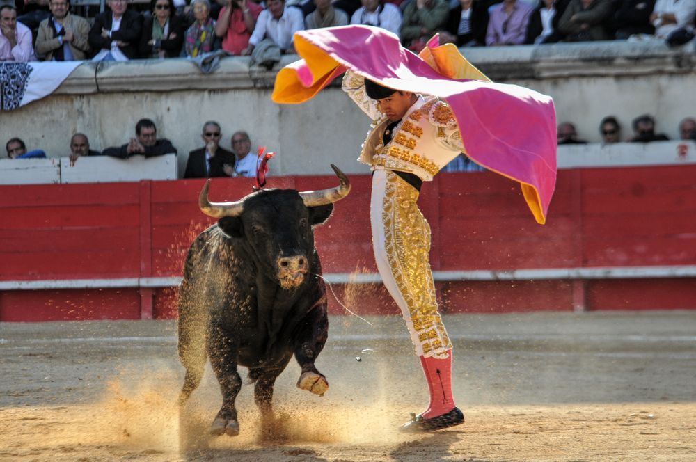 2016cordimamvendnimes (305)