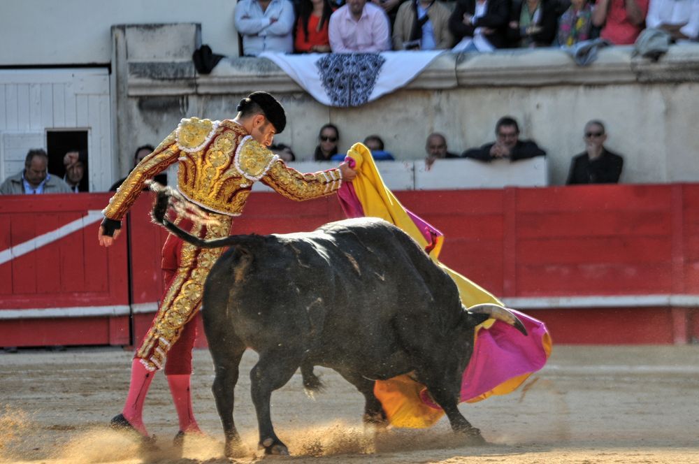 2016cordimamvendnimes (306)
