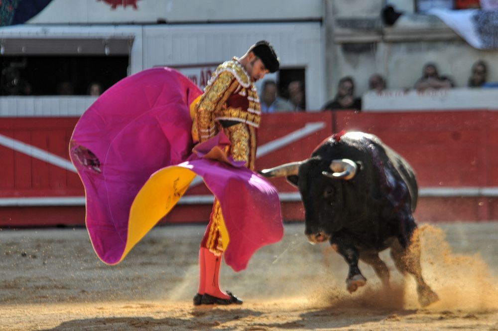 2016cordimamvendnimes (307)