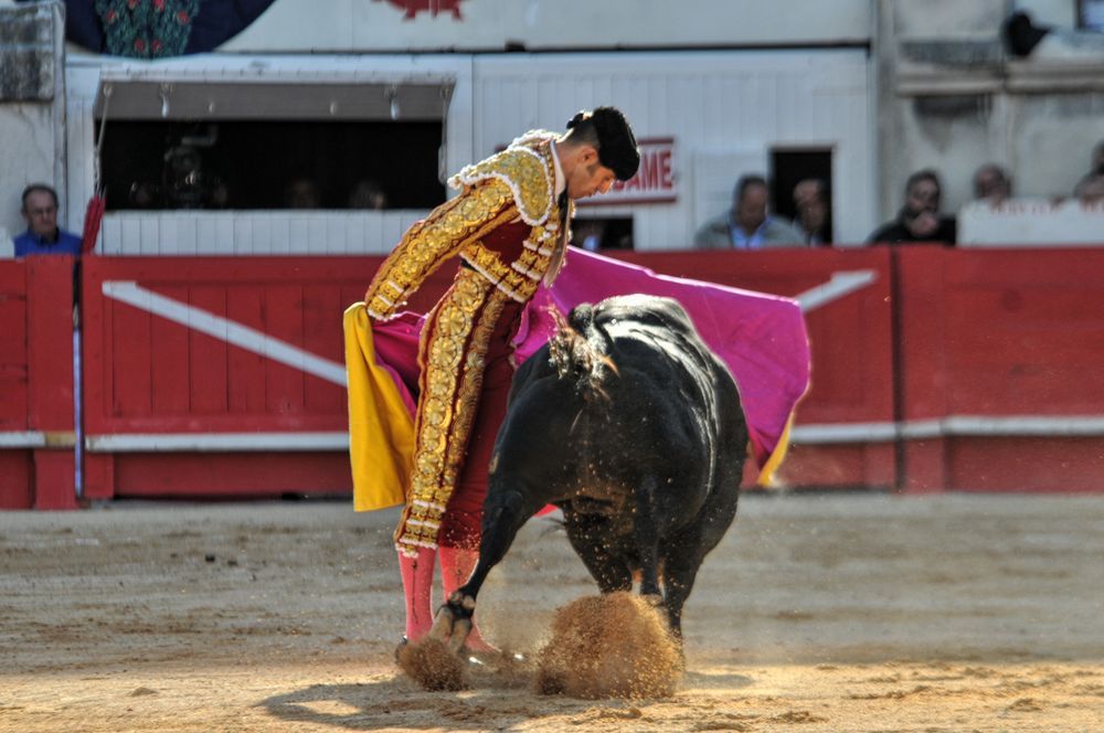 2016cordimamvendnimes (308)