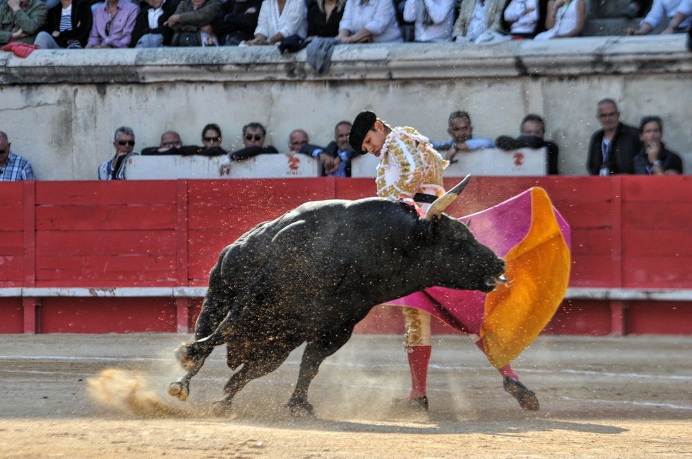 2016cordimamvendnimes (315)