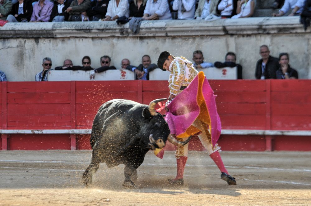 2016cordimamvendnimes (316)