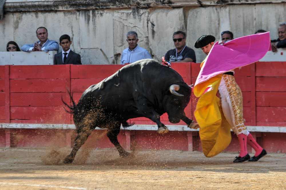 2016cordimamvendnimes (319)