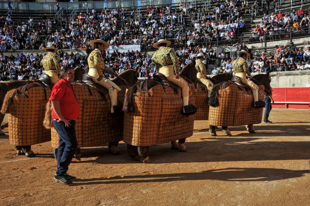 2016cordimamvendnimes (324)