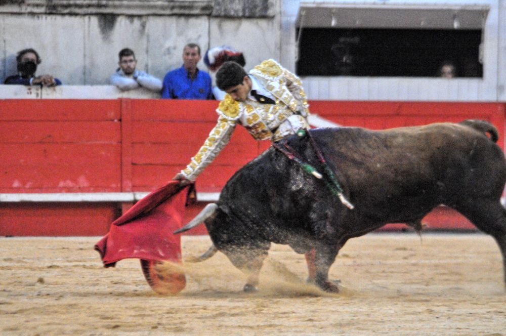 2016cordimamvendnimes (36)