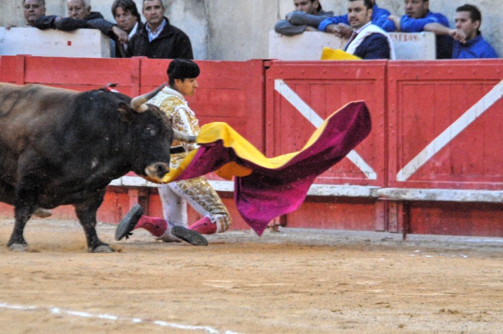 2016cordimamvendnimes (63)