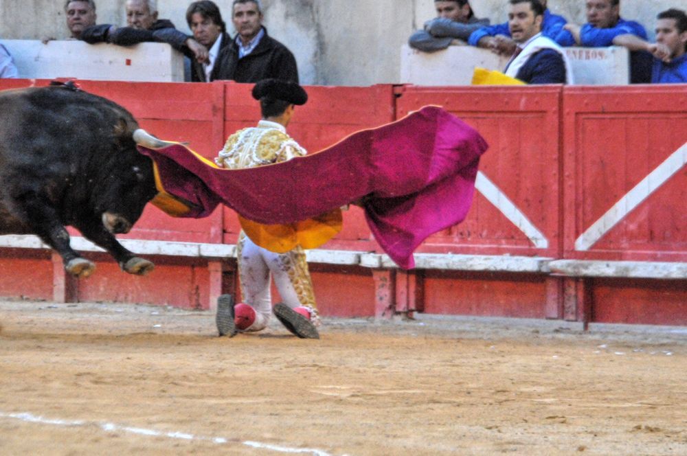 2016cordimamvendnimes (64)