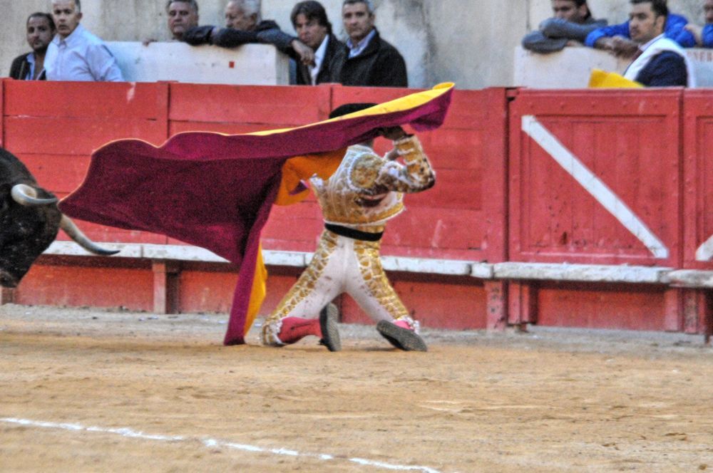 2016cordimamvendnimes (66)